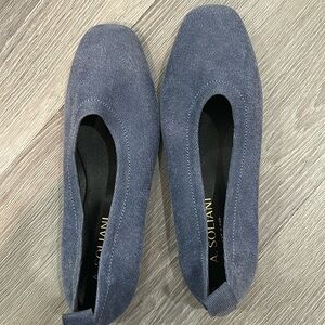 Gorgeous Asoliani flats